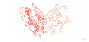 ilustracion mariposa polilla